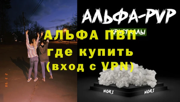 PSILOCYBIN Усмань