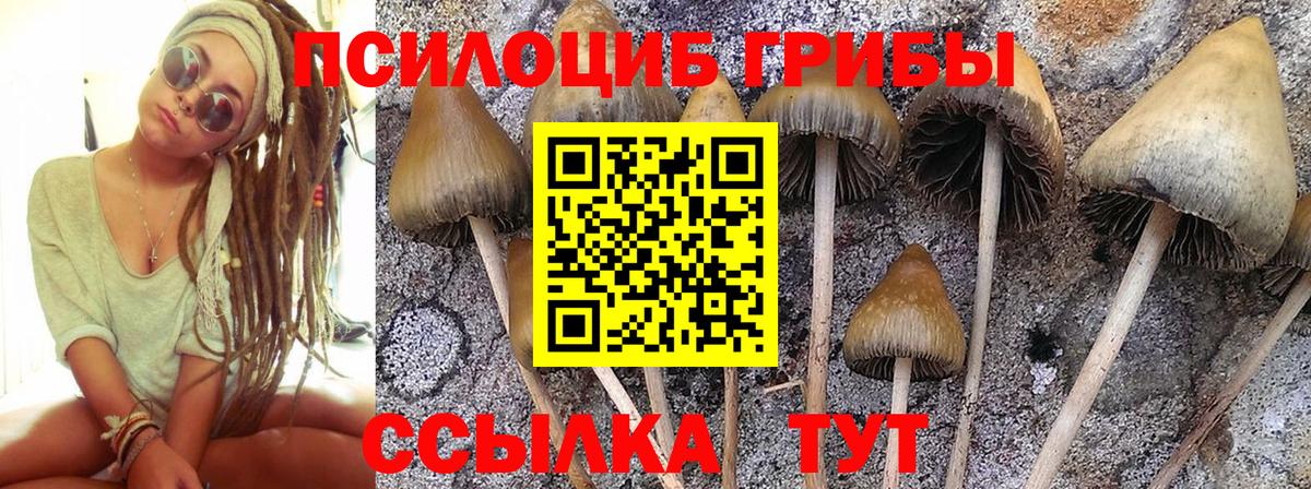 Псилоцибиновые грибы ЛСД Мариинск